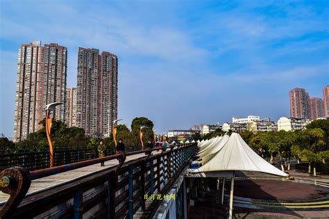 2019滨江公园-旅游攻略-门票-地址-问答-游记点评，芜湖旅游旅游景点推荐-去哪儿攻略
