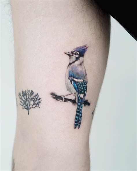 Blue Jay Bird Tattoo