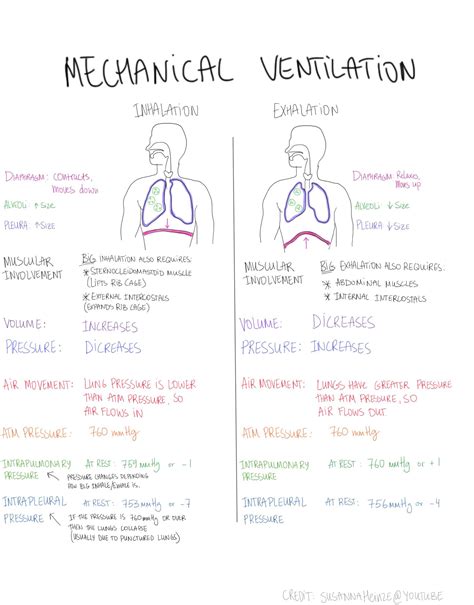 Ventilator Settings Cheat Sheet - Rosendo Blog