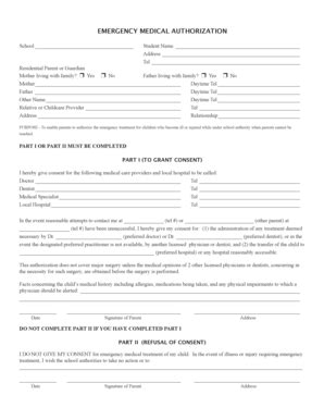 Emergency Medical Authorization Form - Blank Fillable Template | Fill ...