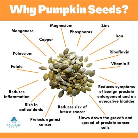 Best 13 Health Benefits of Pumpkin Seeds: A Comprehensive Evidence Based Guide – Artofit