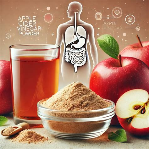 he Hidden Benefits of Apple Cider Vinegar Powder for Digestive Health