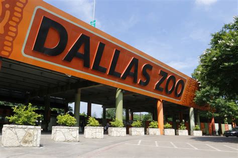 10 Of The Best Zoos In Texas _ Top 10 Best Zoos in the US – WDXO
