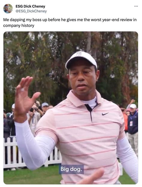 Best Of The Tiger Woods 'Big Dog' Meme Taking Over The Internet