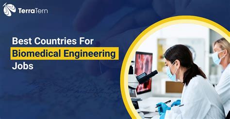 Biomedical Engineering Jobs 的图像结果