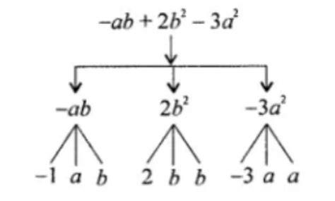 1. Identify the terms in the following algebraic expressions: a) 3a² ...