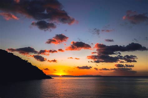 Sea Boat 的图像结果