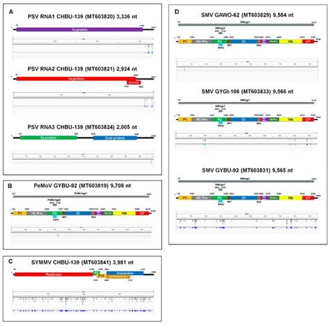 Soybean Viromes in the Republic of Korea Revealed by RT-PCR and Next ...