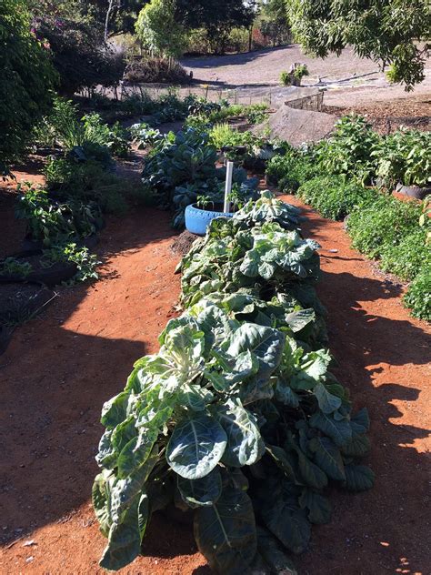 CAMPO DURO ECOLODGE (Galapagos Islands) - Campground Reviews & Photos ...