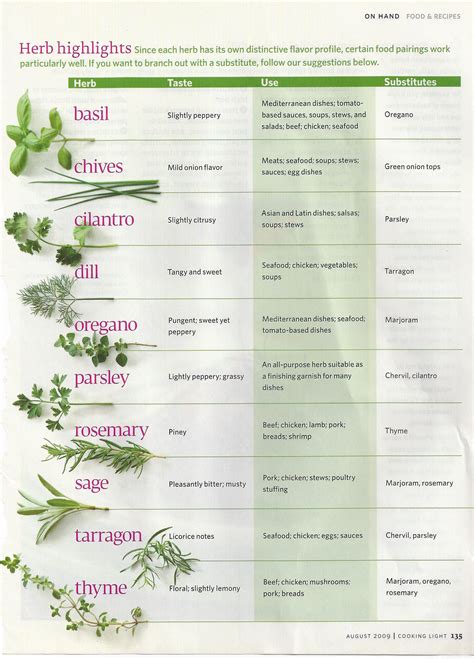 Cooking with fresh herbs – an ultimate guide – Artofit