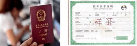 泸州办理护照港澳通行证在哪里办理需要什么材料