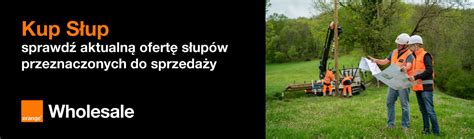 Orange wystawił do sprzedaży ponad 1,1 tys. słupów, które zamierza ...