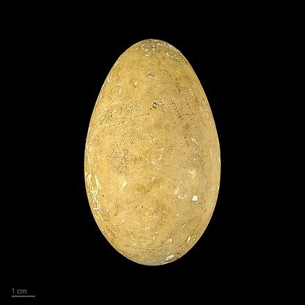 Distribussion ëd Gauss - Wikipedia an piemontèis, l'enciclopedìa lìbera e a gràtis