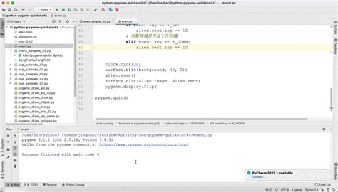 Positional ArgumentError Pygame 的图像结果