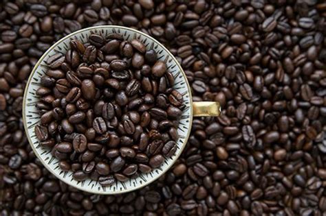 关于巴里岛咖啡的故事，巴里岛咖啡介绍 中国咖啡网 08月10日更新