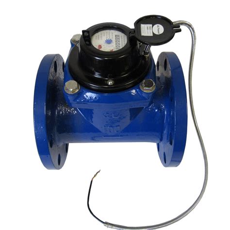 3 Inch Totalizing Water Meter with Pulse Output (Flanged)