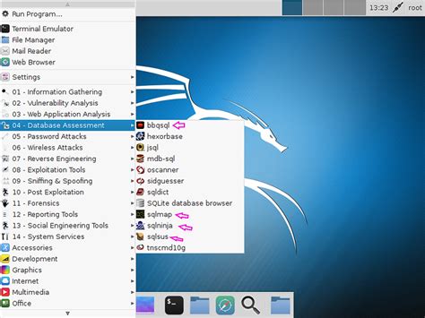 Image result for SQL Injection Example Kalinux