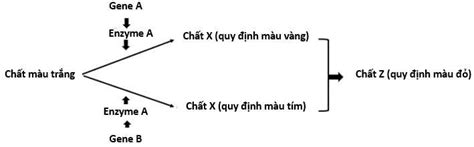 Image result for Test Driven Development Anti-Patterns Chain Gangs Example