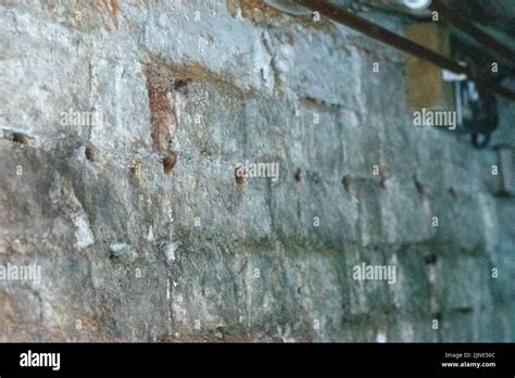 Image result for Damp Course Problems