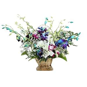 IGP Charming Mixed Orchids Basket (Bunch of 12) : Amazon.in: Home & Kitchen