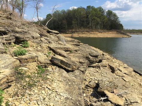 Barren River Lake State Park | State parks, River, Lake