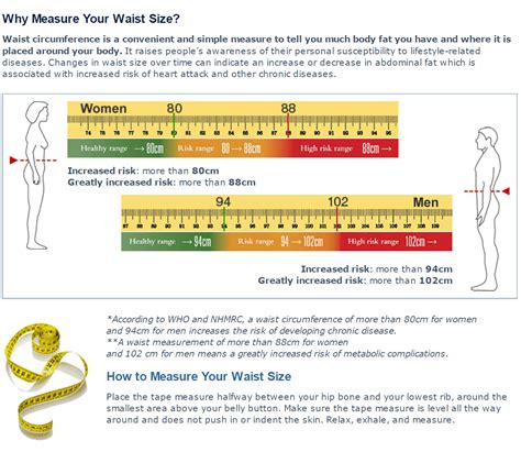 A quick health check - your waist circumference — Freemasons Centre for ...