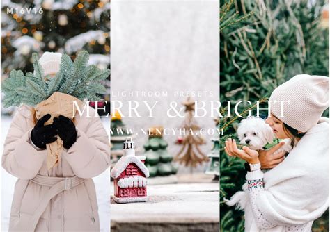 Gói Preset Giáng Sinh – Lightroom Preset Merry And Bright, Festive ...