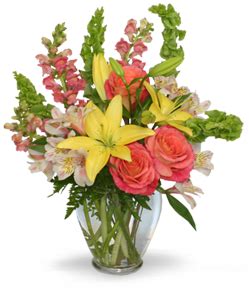 Flower Shop Network 的图像结果