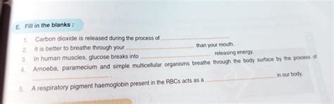 plz answer correctly - Brainly.in