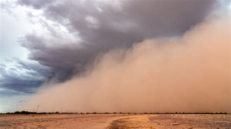 Dust Storm Warning: THESE Areas In New Mexico Affected | Times Now