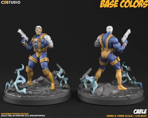 Merrit Cable Model 的图像结果