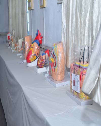 RMSNursingCollege - Ravi Mahato Smarak Nursing College