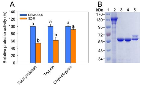 Reduced Expression of a Novel Midgut Trypsin Gene Involved in Protoxin ...