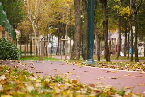 Walk Path 的图像结果