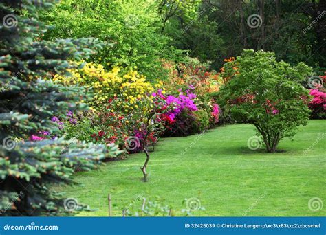 Colourful Flowering Shrubs in a Spring Garden Stock Image - Image of ...