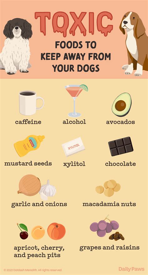 Toxins In Food