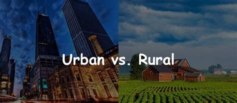 City Village 的图像结果