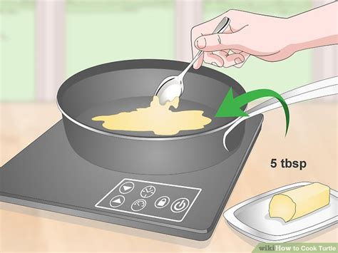 Image result for Cook Turtle