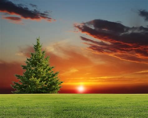 Nature Field 的图像结果