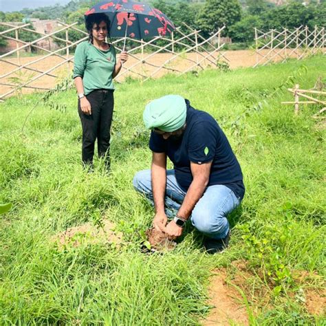 "Eco-Engagement: MongoDB’s Urban Forest Tree Planting for a Greener ...