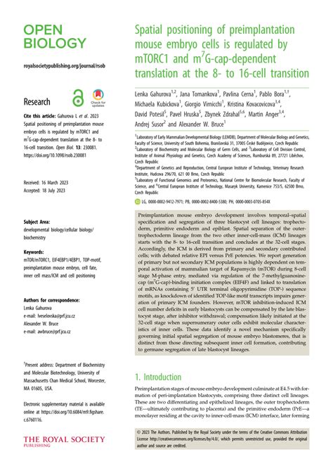 Spatial Transcriptome Mouse Embryo Development 的图像结果