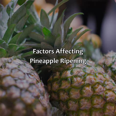 What Color Is A Ripe Pineapple - colorscombo.com