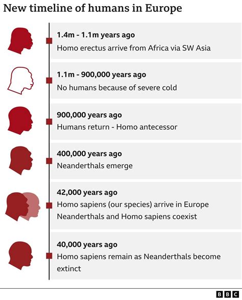 Early Humans Timeline