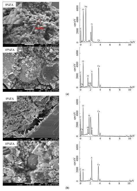 Influence of Fly Ash Content on the Durability of Mortar Specimens ...