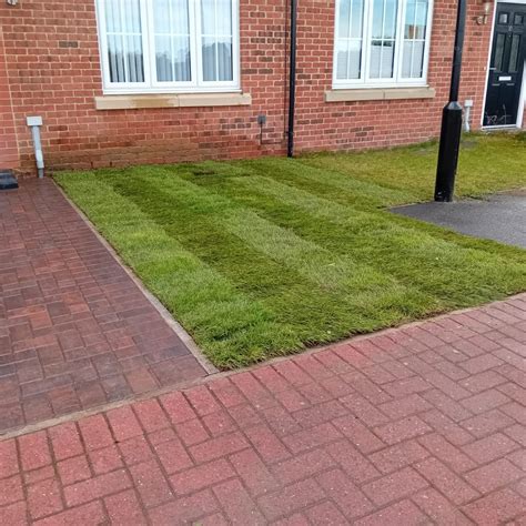 Fresh Turf Rolls Newcastle | Same Day Delivery | Newcastle Turf