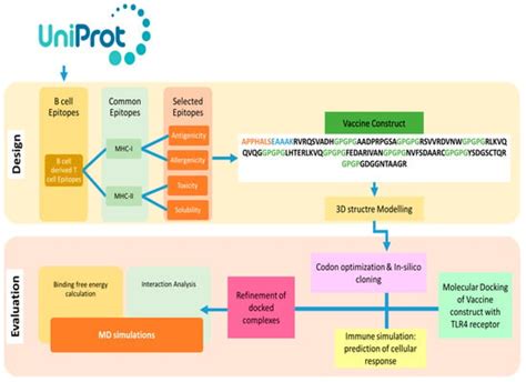 Immunoinformatics Approach to Design a Multi-Epitope Vaccine against ...