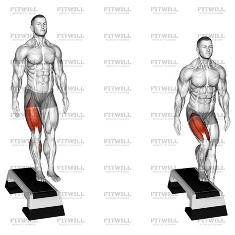 Lateral Step-Up: Exercise Guide, Video, Techniques, Benefits, How to ...