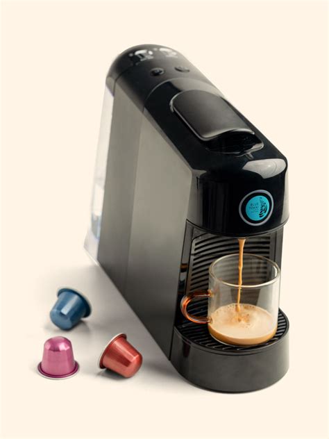 Peacock and Bull Screen Print – Supporting Artists with Every Purchase