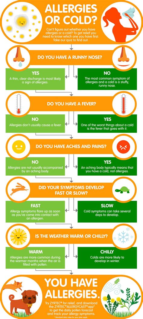 Allergies vs Cold: What’s The Difference? | ZYRTEC® | Cold or allergies, Allergies vs cold ...