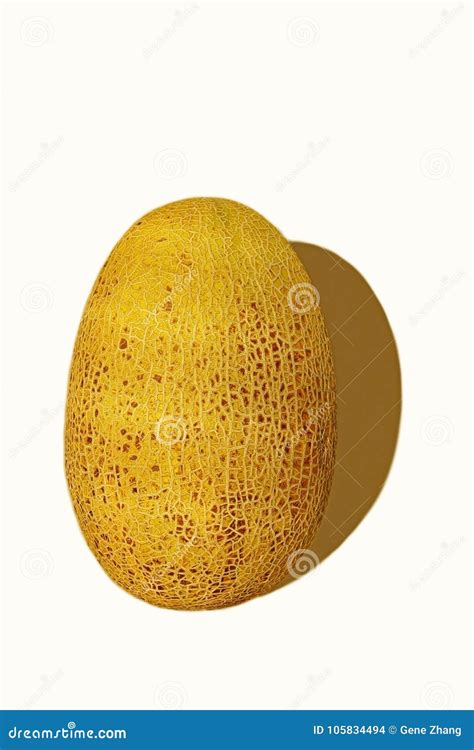 Hami Melon, Fruit stock photo. Image of gold, delicious - 105834494
